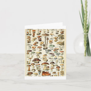Carte Tableau vintage des champignons comestibles