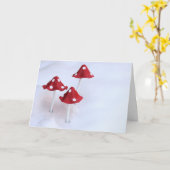 Carte Tabourets d'hiver (Fleur jaune)