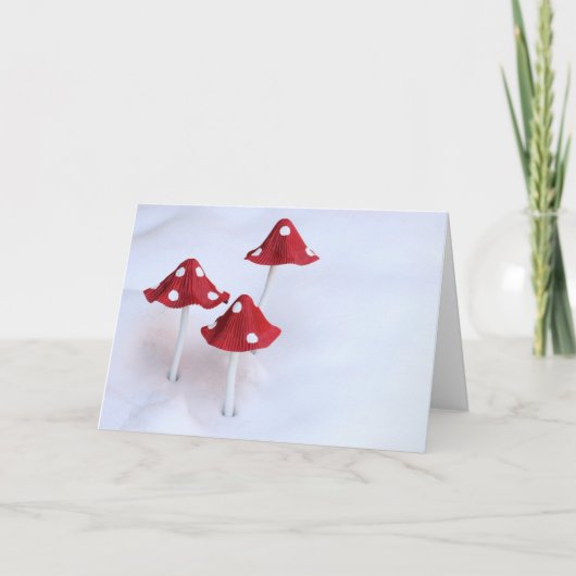 Carte Tabourets d'hiver (Devant)