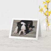 Carte Tacauds de Howie (Fleur jaune)