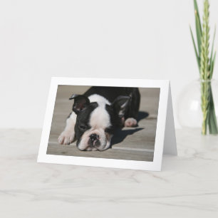 Carte Tacauds de Howie