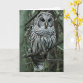 Carte Tache, le hibou (Fleur jaune)