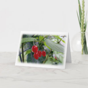 Carte Taches rouges d'automne