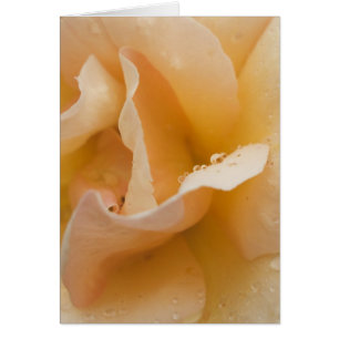 Carte tactile douce de Grace