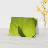 Carte Taiwan Flora Leaf (Fleur jaune)