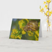 Carte Take it easy (snail on Yellow flowers macro) (Fleur jaune)