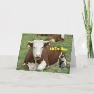 Carte Talking Cow