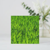 Carte Tall Blades of Grass (Debout devant)