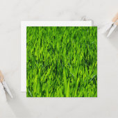 Carte Tall Blades of Grass (Devant/Arrière en situation)