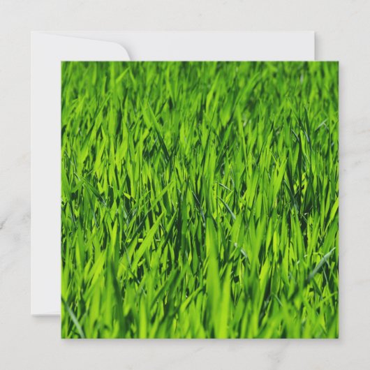 Carte Tall Blades of Grass (Devant)