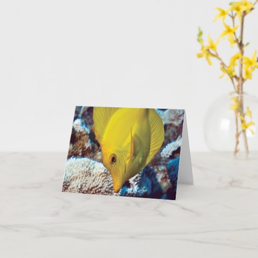 Carte TangEssence Note Card (Fleur jaune)