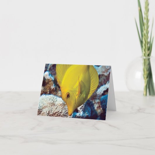 Carte TangEssence Note Card (Devant)