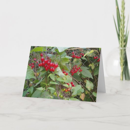 Carte "Tangled Vine" (Devant)