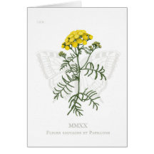 Carte Tansy et Swallowtail