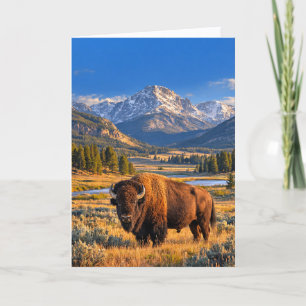 Carte Tapisserie de bison américain de la prairie dorée