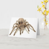 Carte Tarentule (Fleur jaune)