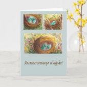 Carte Tarjeta de nido con huevos azules pajaro Robin (Fleur jaune)