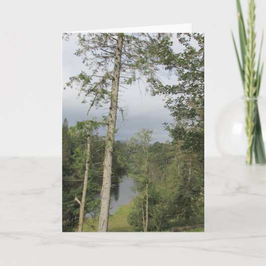 Carte Tarn Hows Arbres (Devant)