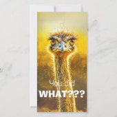 CARTE T'AS FAIT QUOI ? ? ? (Devant)