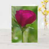 Carte Tasses de vin (Fleur jaune)