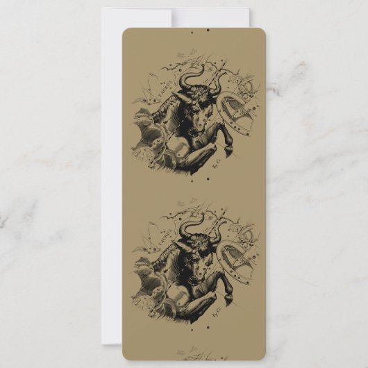 Carte Taurus Constellation Hevelius 1690 Engraving (Devant)