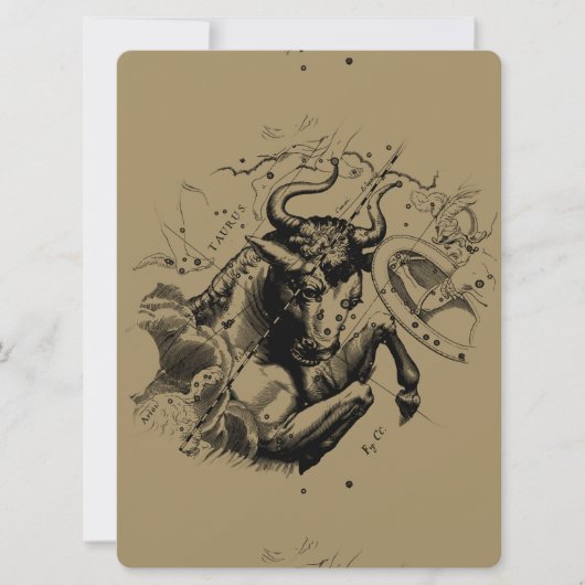 Carte Taurus Constellation Hevelius 1690 Engraving (Devant)