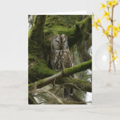 Carte Tawny Owl (Fleur jaune)