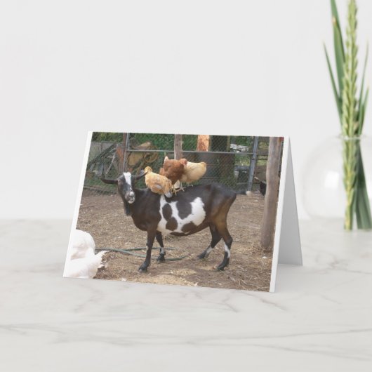 Carte Taxi de chèvre (Devant)