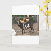 Carte Taxi de chèvre (Fleur jaune)