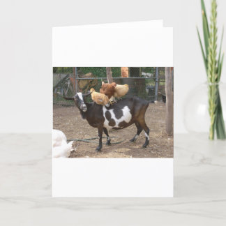 Carte Taxi de chèvre