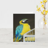 Carte Taz... (Fleur jaune)