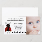 Carte {TBA} Photo Little Ladybug Anniversaire / Naissanc (Devant / Derrière)