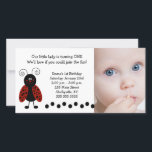 Carte {TBA} Photo Little Ladybug Anniversaire / Naissanc<br><div class="desc">Jolie petite carte de coccinelle "Lovebug" que vous pouvez personnaliser pour l'anniversaire,  baby shower ou faire-part de naissance!</div>