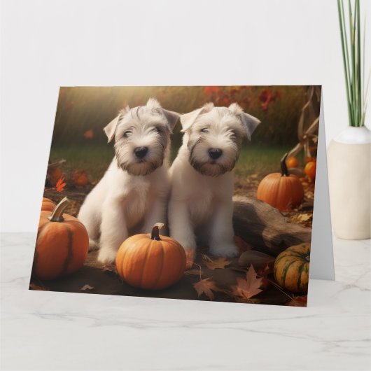 Carte Tchiens Terrier chiot Automne Délice Citrouille (Devant)