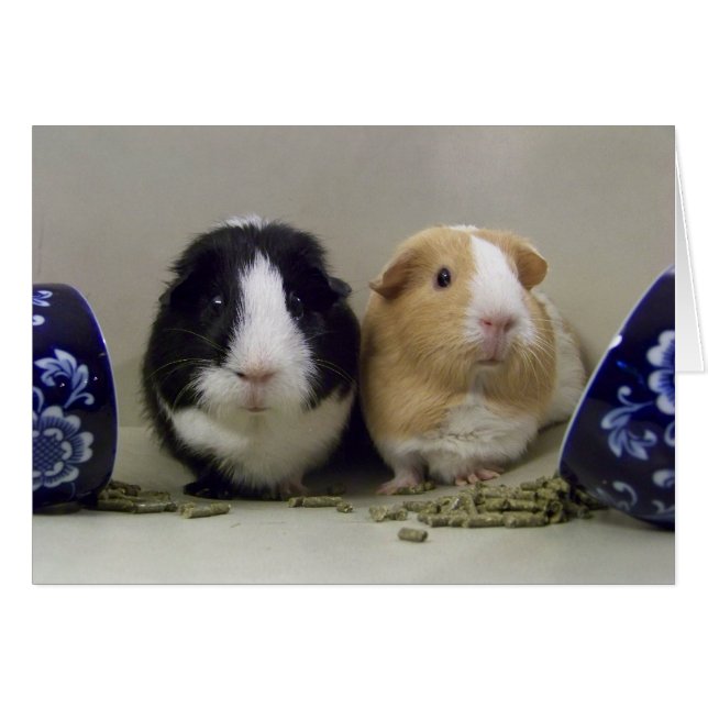 Carte "Tea-Time" vide (Devant horizontal)