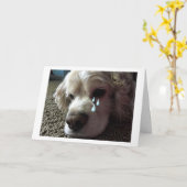 CARTE TEARY EYED COCKER SPANIEL DIT "JE TE MANQUE" (Fleur jaune)