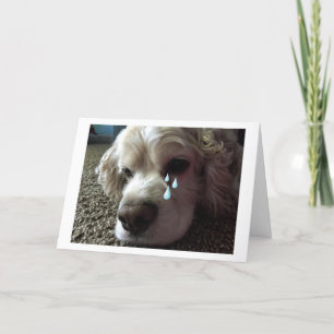 CARTE TEARY EYED COCKER SPANIEL DIT "JE TE MANQUE"