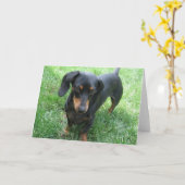 Carte Teckel (Fleur jaune)