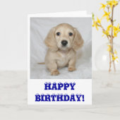 Carte Teckel de joyeux anniversaire (Fleur jaune)