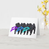 Carte Teckels noirs en écharpes (Fleur jaune)