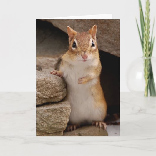 Carte Tellement mignon et curieux Chipmunk (Devant)
