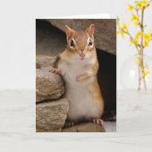 Carte Tellement mignon et curieux Chipmunk (Fleur jaune)