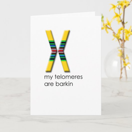 Carte Telomères (Fleur jaune)