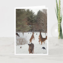 Témoin des beautés des créatures