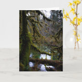 Carte Temple des mousses (Fleur jaune)