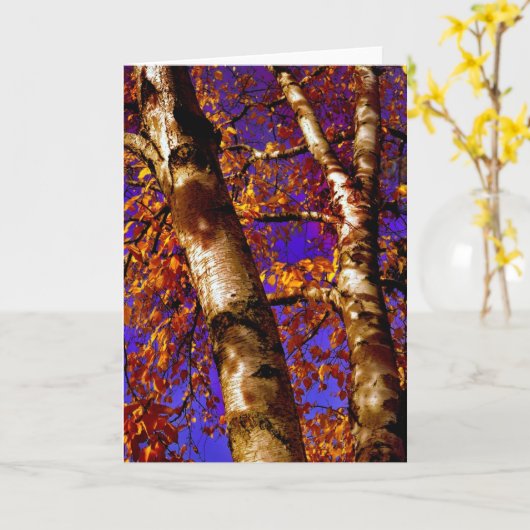 Carte temps, à nouveau (Fleur jaune)