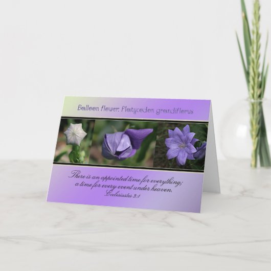 Carte Temps alloué à tout (Devant)