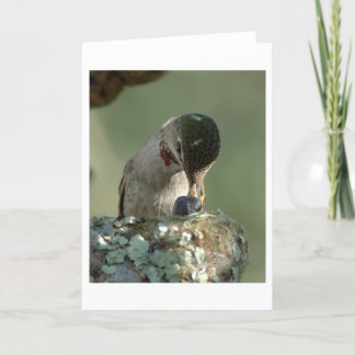 Carte Temps d'alimentation des colibris