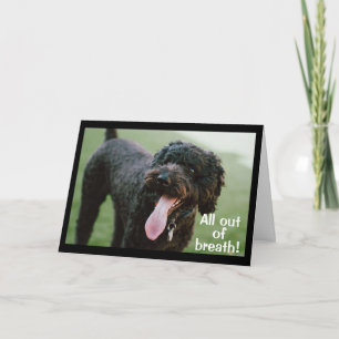 Carte **TEMPS DE CÉLÉBRER VOTRE 12e ANNIVERSAIRE**