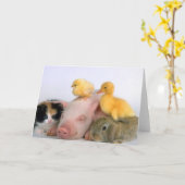 Carte Temps de petit somme pour les animaux (Fleur jaune)